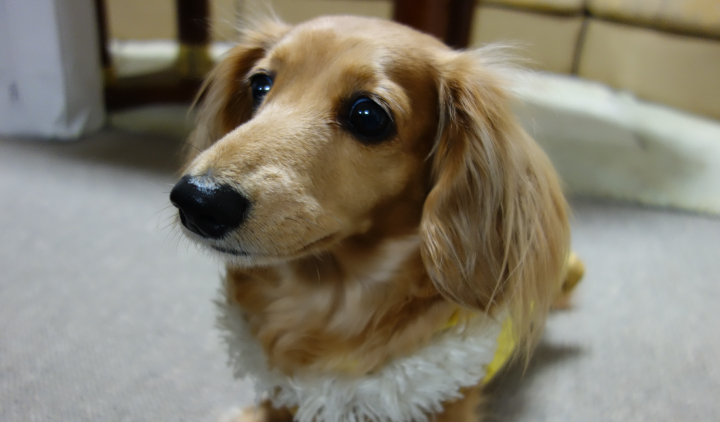 草加市の税理士なら税理士法人アレックスパートナーズの料金